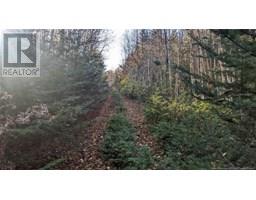 Old Great Road, hopewell cape, New Brunswick