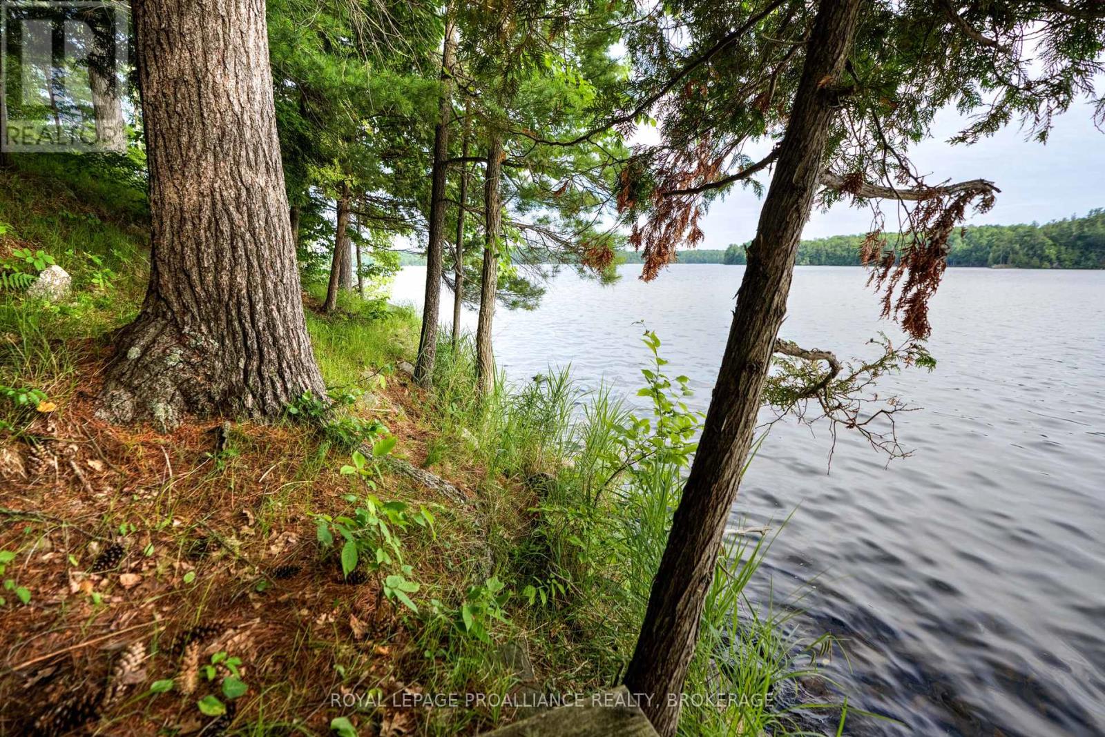 7 Scarlett Lane, Rideau Lakes, Ontario  K0G 1X0 - Photo 14 - X12267015