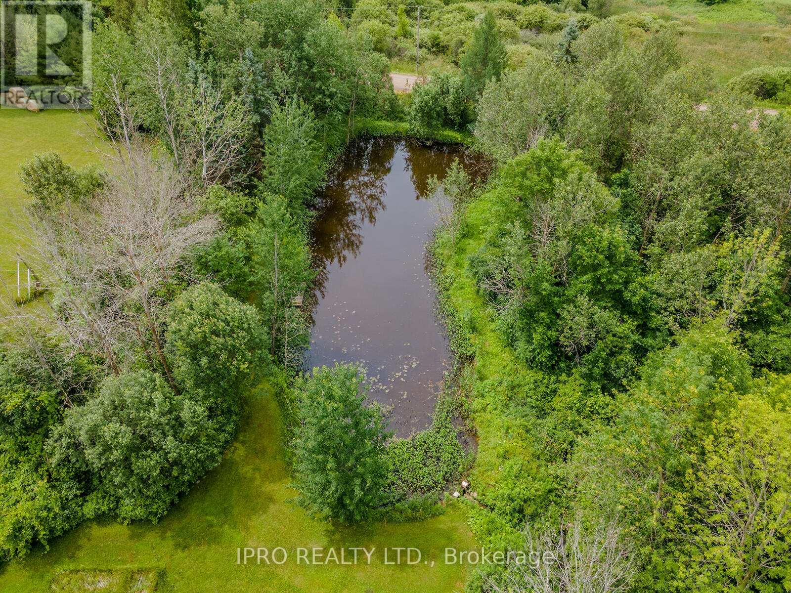 Property at 9206 SIDEROAD 17 ROAD image 3