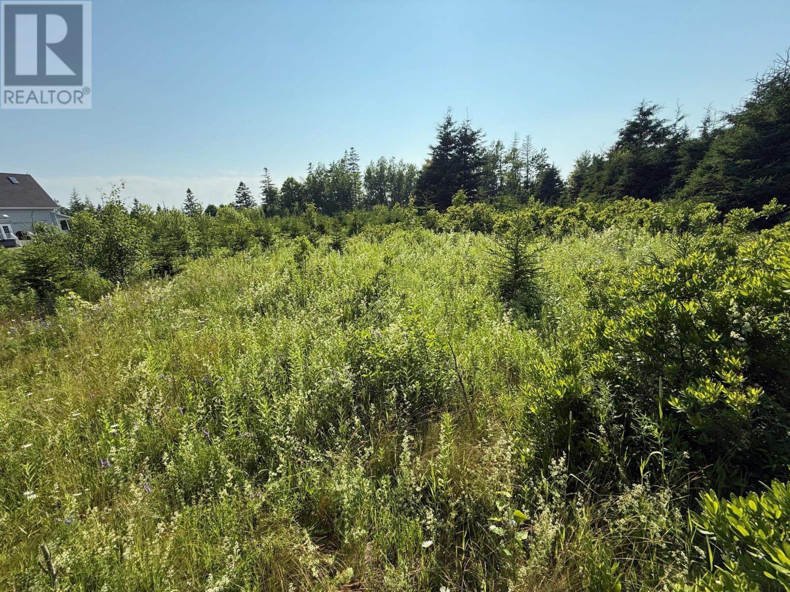 46 Sheri Court, Birch Hill, Prince Edward Island  C0B 2C0 - Photo 4 - 202516796