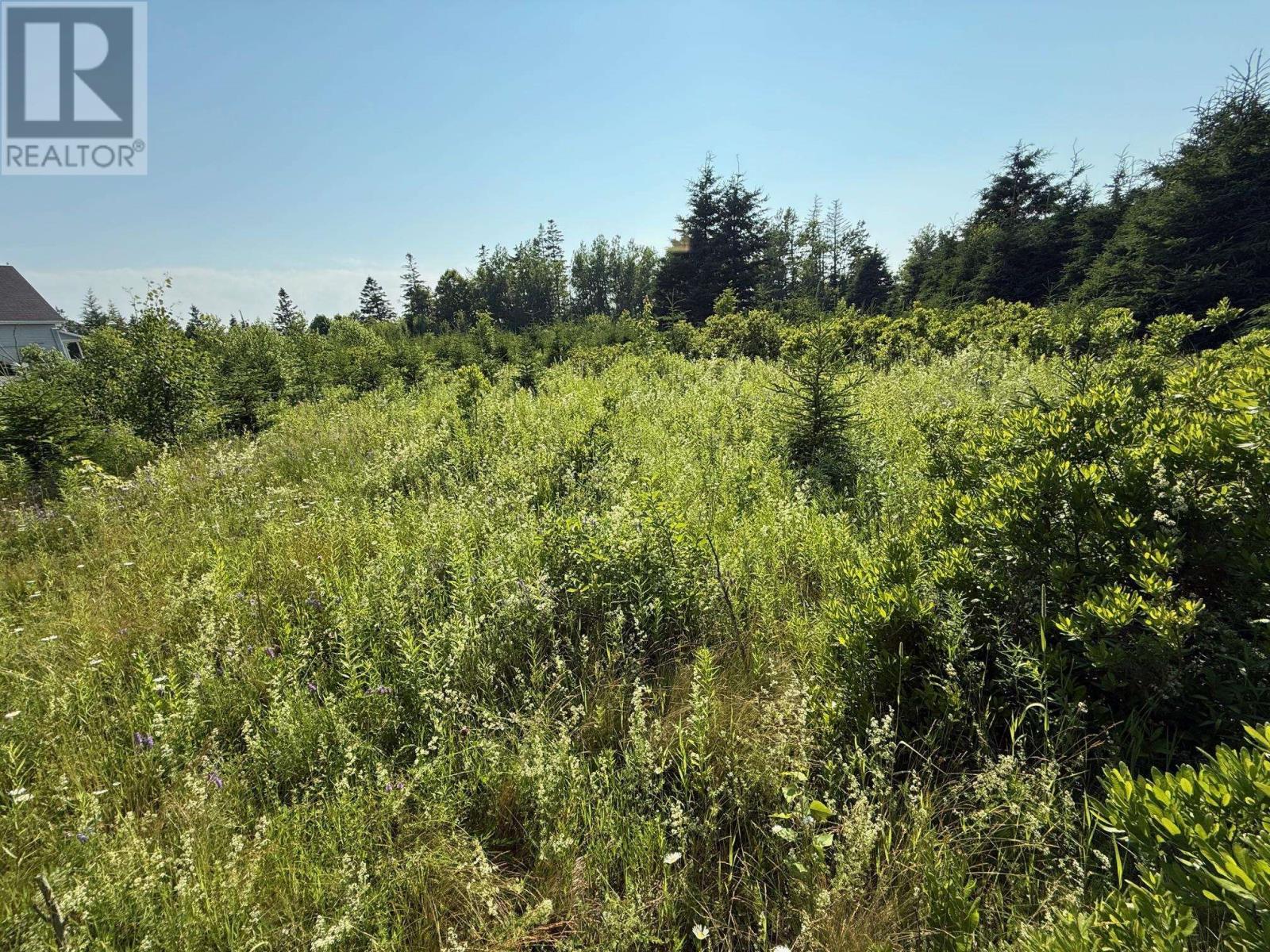 46 Sheri Court, Birch Hill, Prince Edward Island  C0B 2C0 - Photo 7 - 202516796