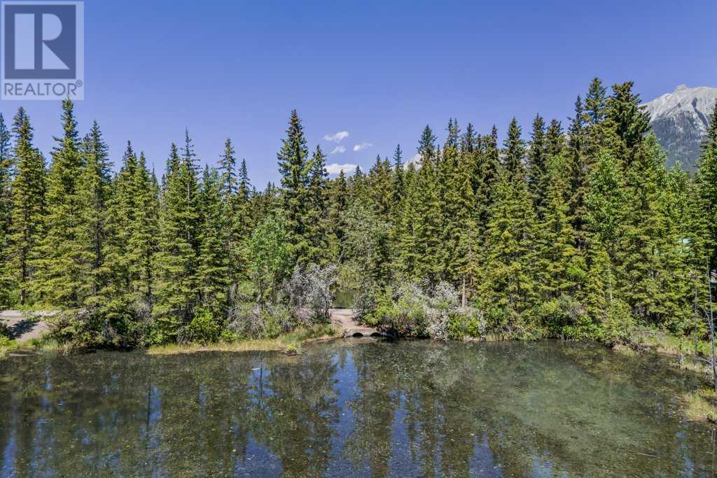4 Mount Rundle Place, Canmore, Alberta  T1W 1Z1 - Photo 18 - A2229973