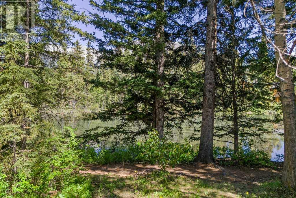 4 Mount Rundle Place, Canmore, Alberta  T1W 1Z1 - Photo 13 - A2229973