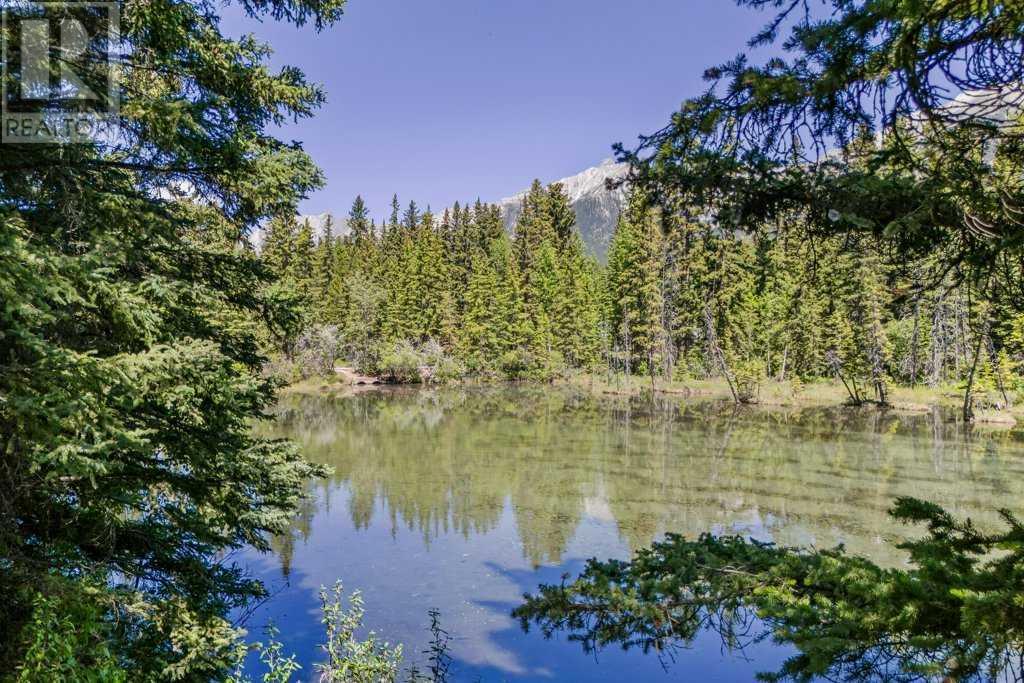 4 Mount Rundle Place, Canmore, Alberta  T1W 1Z1 - Photo 14 - A2229973