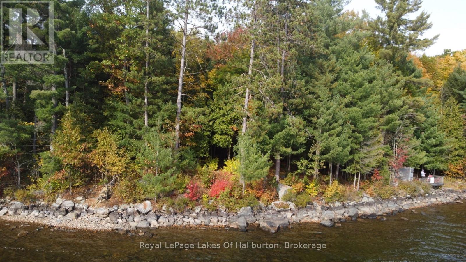 0 Hwy 35, Algonquin Highlands (Stanhope), Ontario  K0M 1S0 - Photo 19 - X12116185