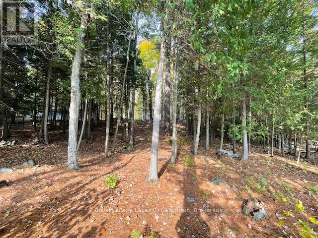 0 Hwy 35, Algonquin Highlands (Stanhope), Ontario  K0M 1S0 - Photo 26 - X12116185