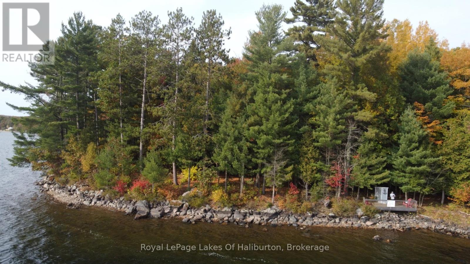 0 Hwy 35, Algonquin Highlands, Ontario  K0M 1S0 - Photo 3 - X12116185