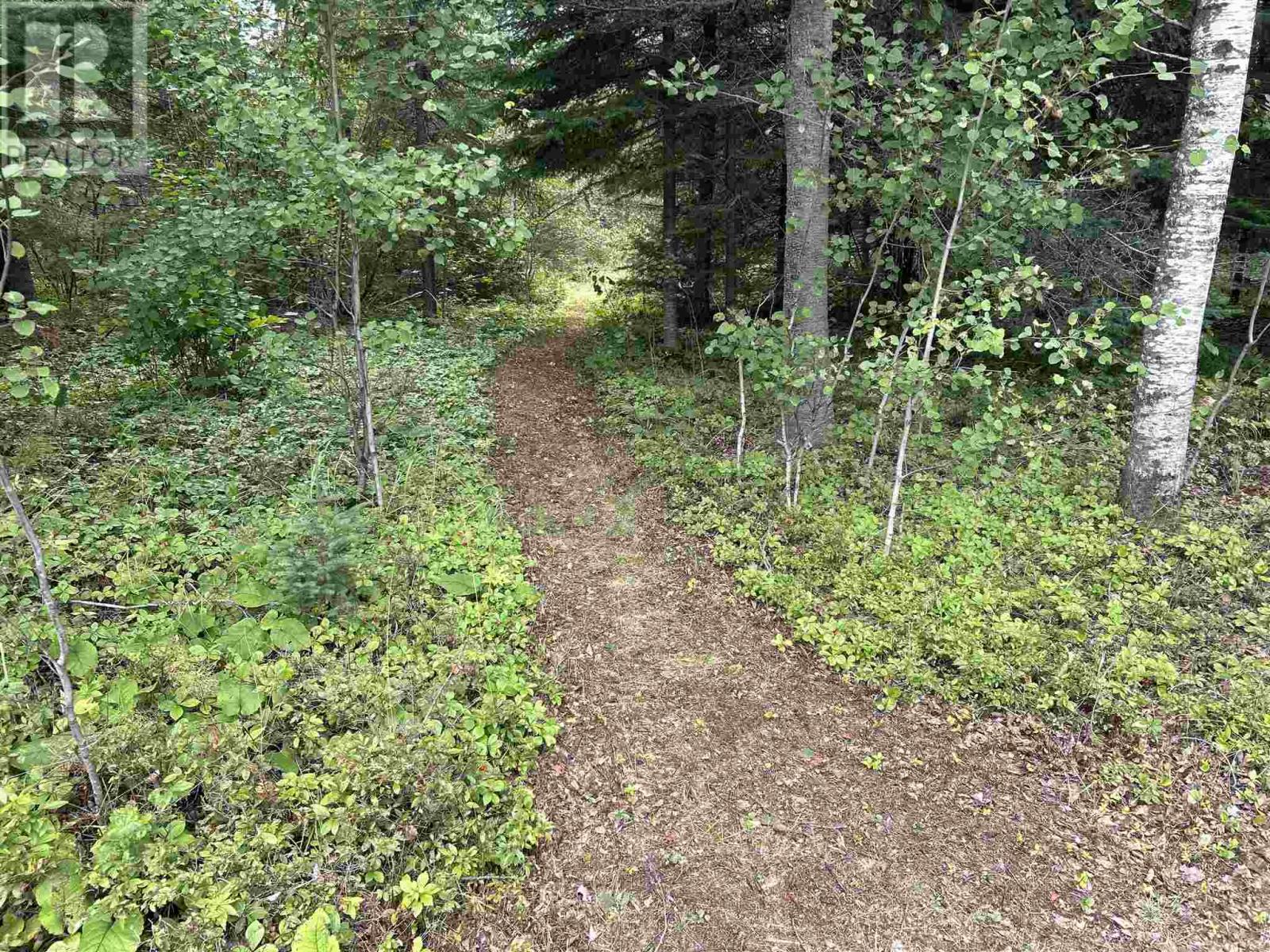 1 Bear Camp, Vermilion Bay, Ontario  P0V 1S0 - Photo 19 - TB252026