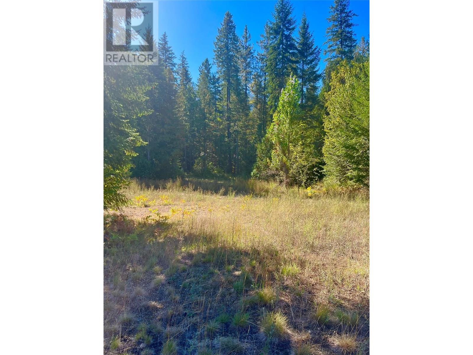 5975 Paradise Valley Road, Winlaw, British Columbia  V0G 2J0 - Photo 12 - 10338764
