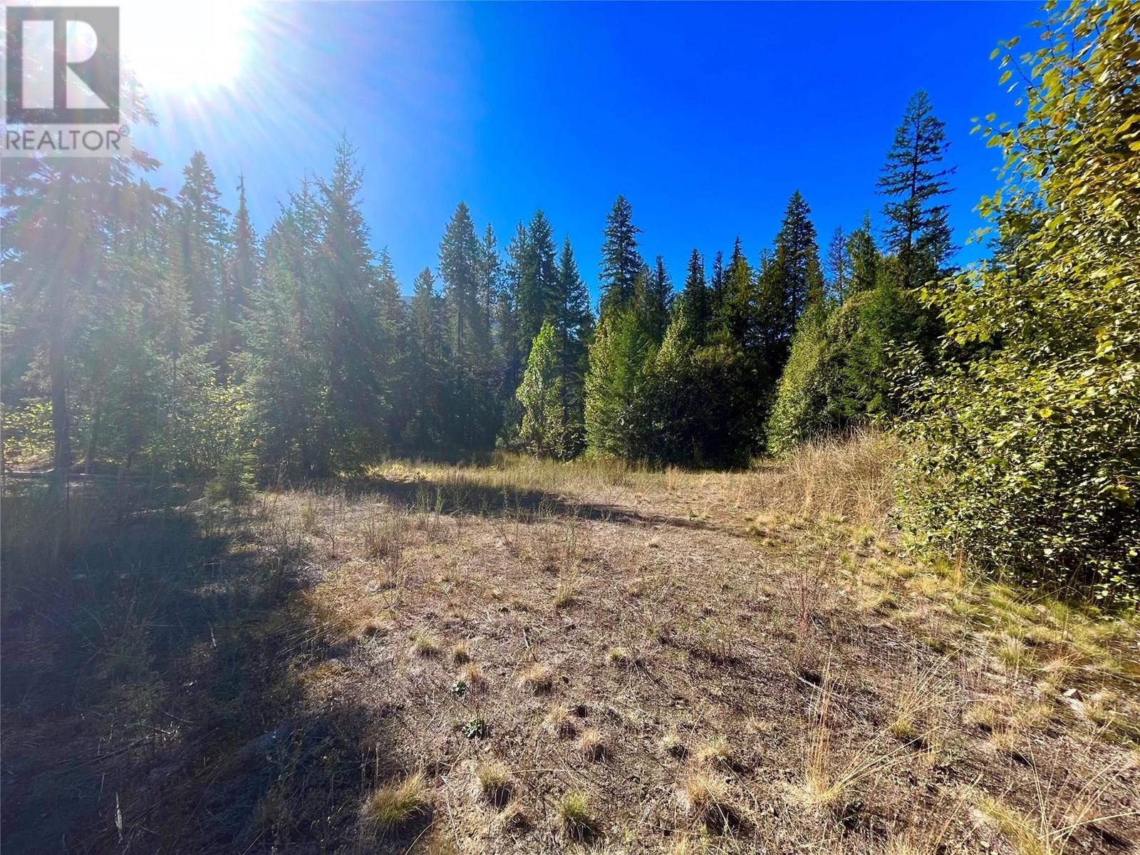 5975 Paradise Valley Road, Winlaw, British Columbia  V0G 2J0 - Photo 14 - 10338764