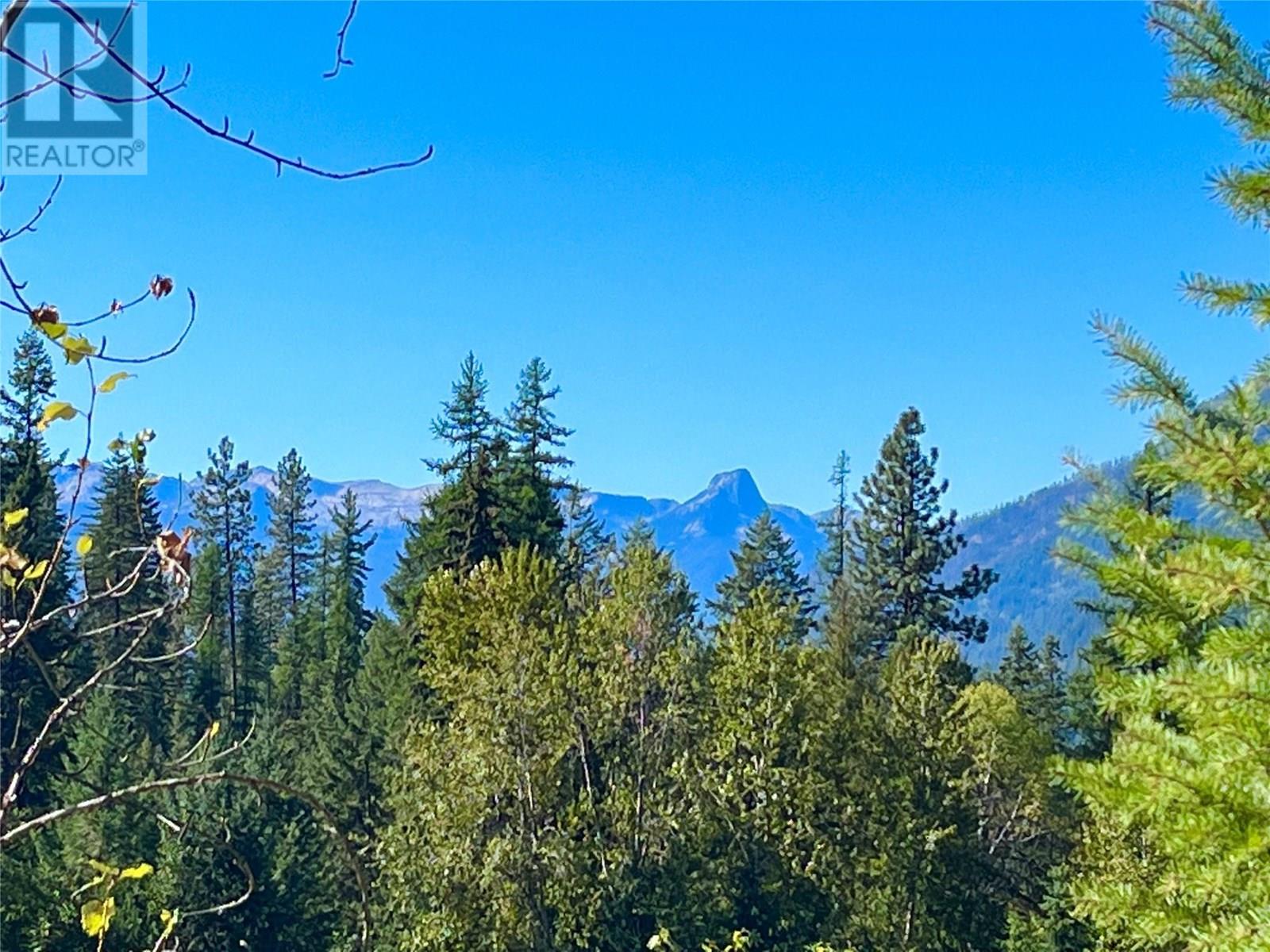 5975 Paradise Valley Road, Winlaw, British Columbia  V0G 2J0 - Photo 5 - 10338764
