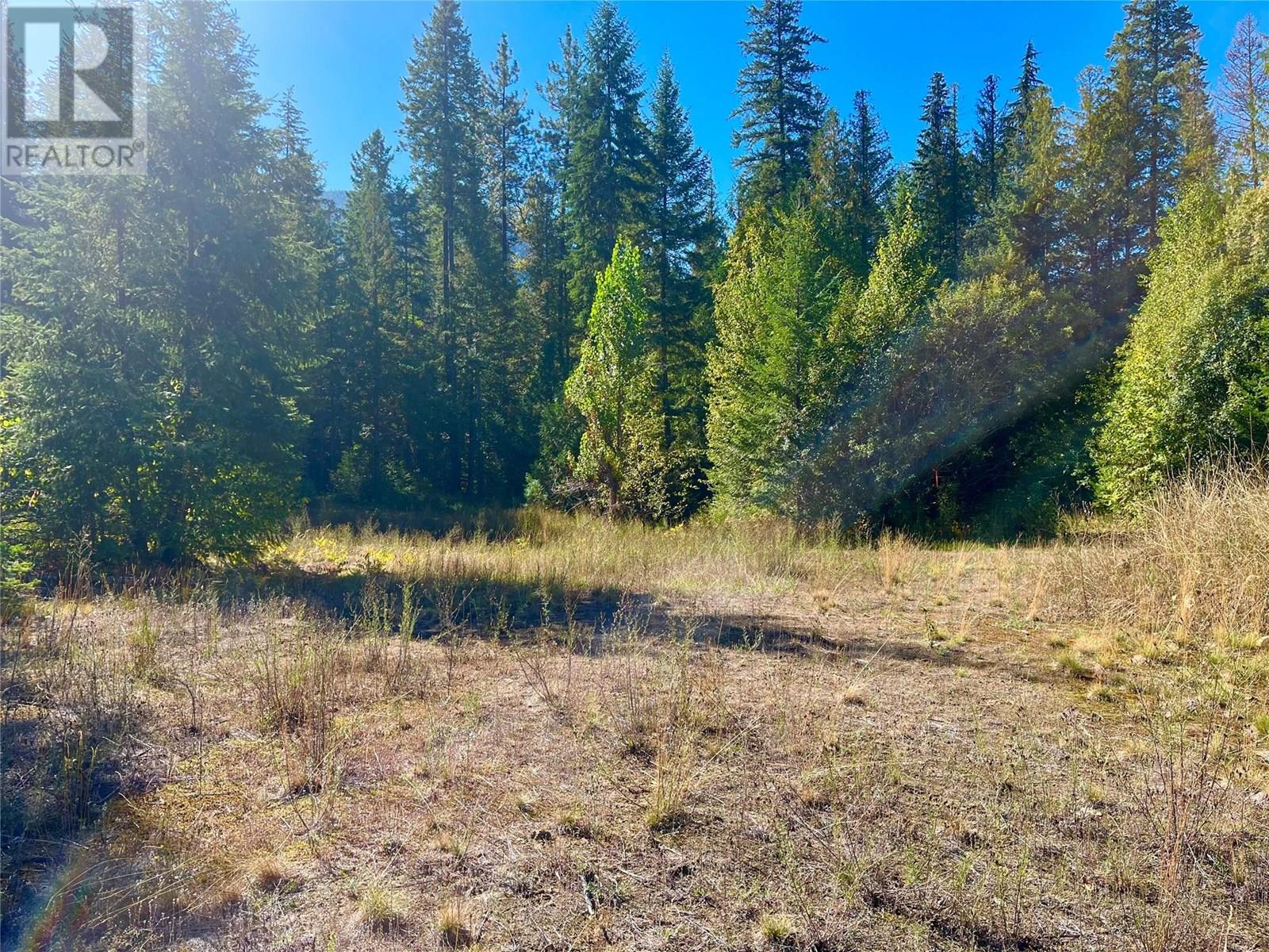 5975 Paradise Valley Road, Winlaw, British Columbia  V0G 2J0 - Photo 13 - 10338764