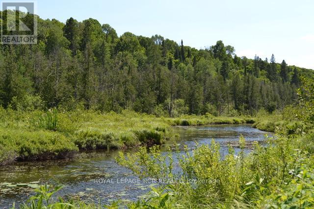 0 Pt Lt 6 Con 9, Highlands East, Ontario  K0M 1R0 - Photo 8 - X12260659