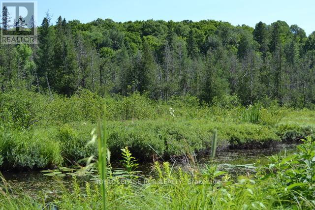 0 Pt Lt 6 Con 9, Highlands East, Ontario  K0M 1R0 - Photo 6 - X12260659