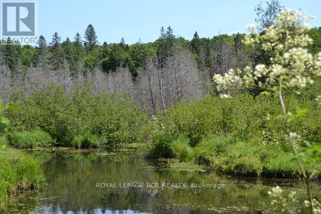 0 Pt Lt 6 Con 9, Highlands East, Ontario  K0M 1R0 - Photo 7 - X12260659
