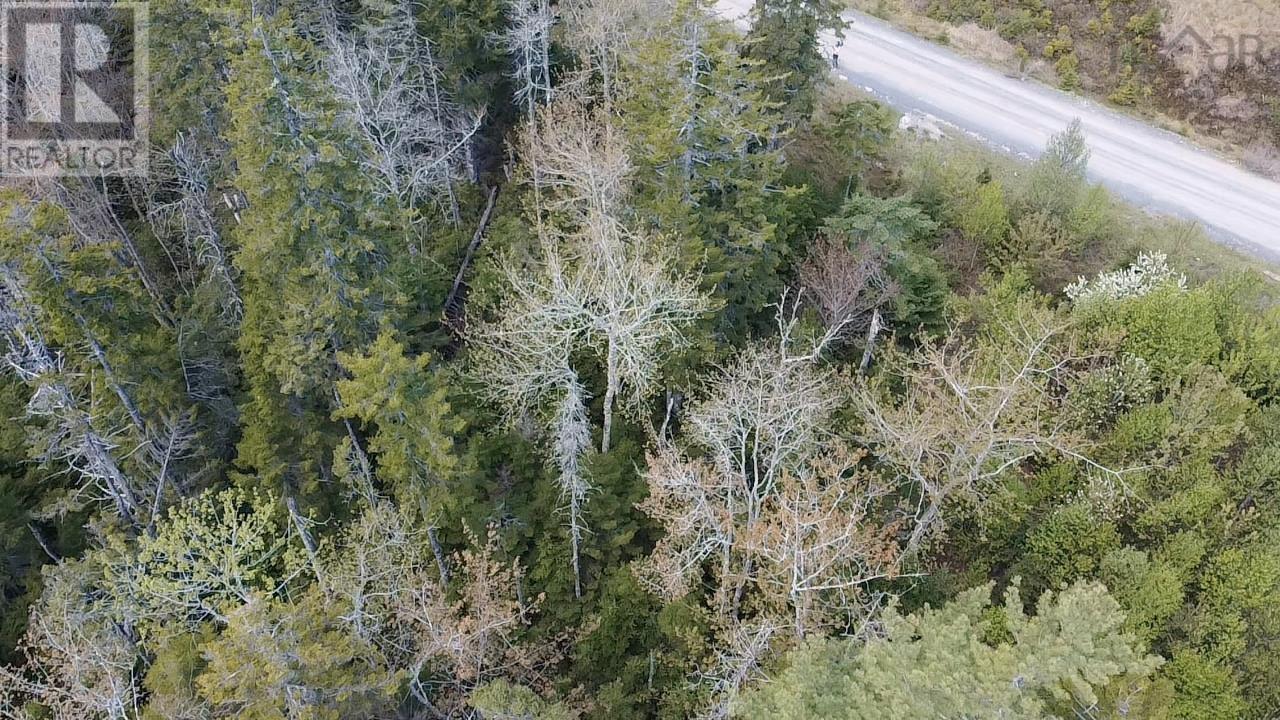 Lot 17 Deeridge Road, Black Point, Nova Scotia  B0J 1B0 - Photo 10 - 202516537