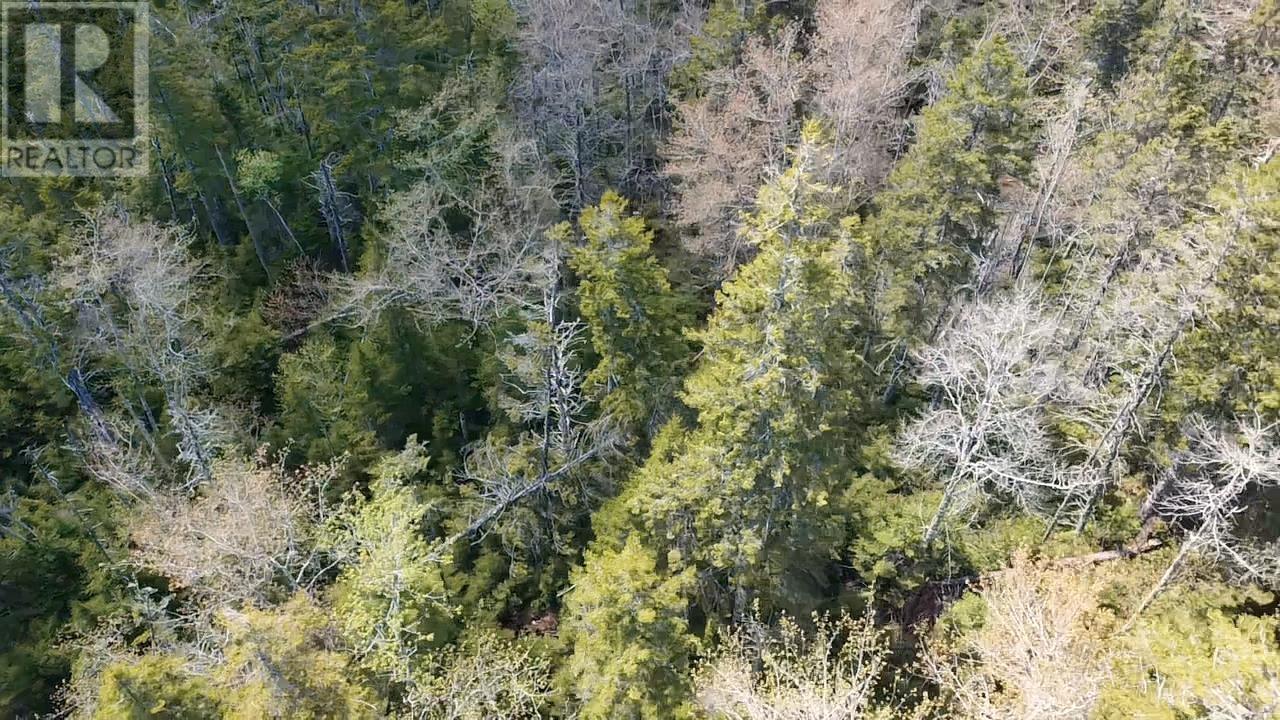 Lot 17 Deeridge Road, Black Point, Nova Scotia  B0J 1B0 - Photo 6 - 202516537