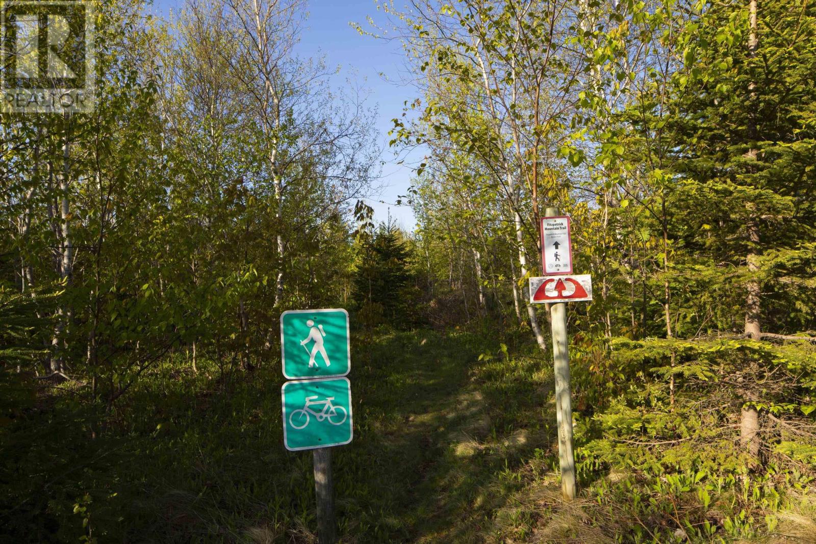 310 Fitzpatrick Mountain Road, Pictou, Nova Scotia  B0K 1R0 - Photo 23 - 202514934