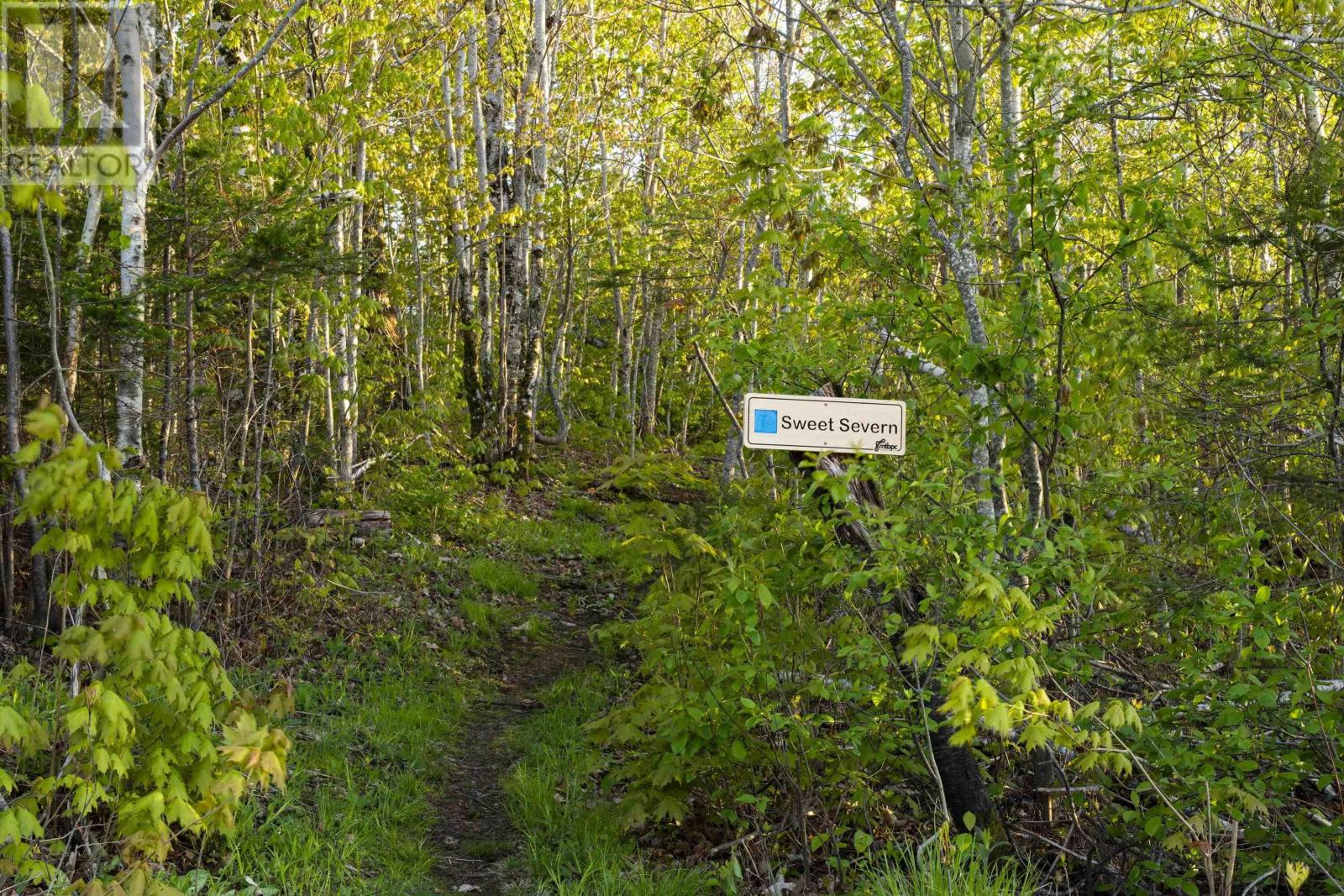 310 Fitzpatrick Mountain Road, Pictou, Nova Scotia  B0K 1R0 - Photo 50 - 202514934