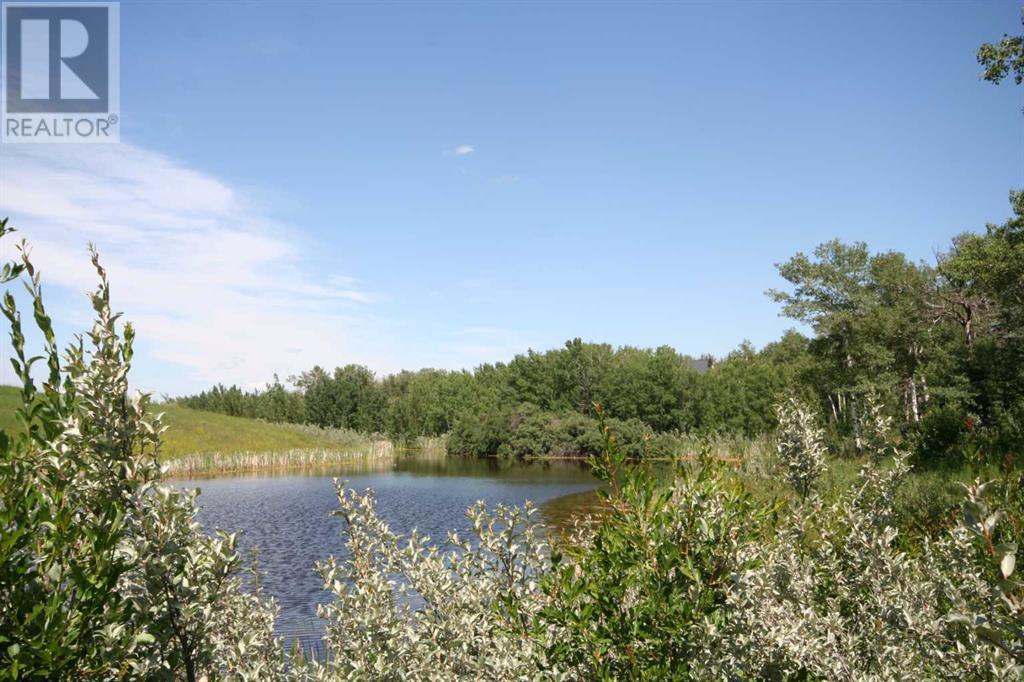Harmony Ridge Estates, Rural Foothills County, Alberta  t1s 5e8 - Photo 17 - A2236389