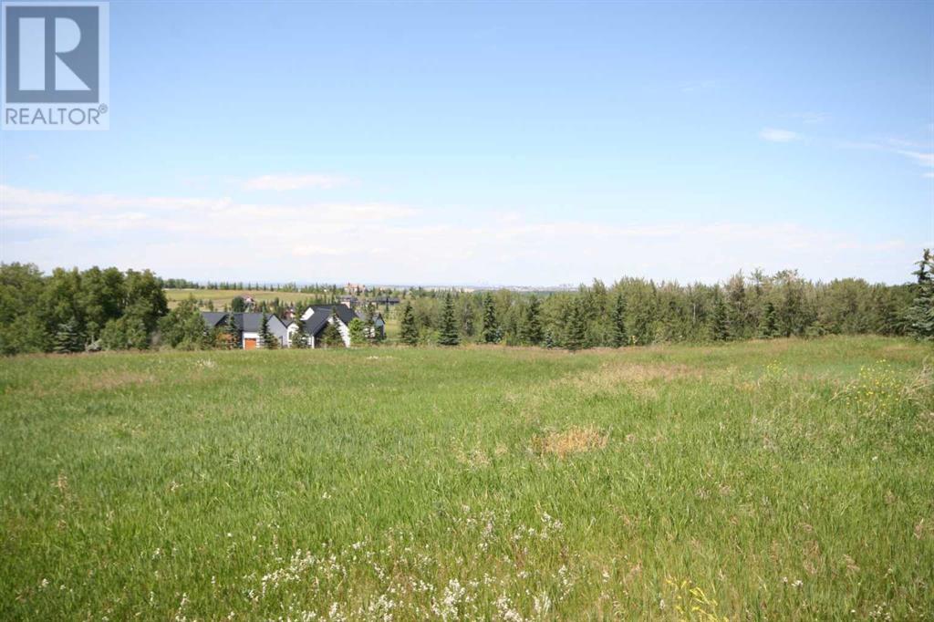 Harmony Ridge Estates, Rural Foothills County, Alberta  t1s 5e8 - Photo 8 - A2236389