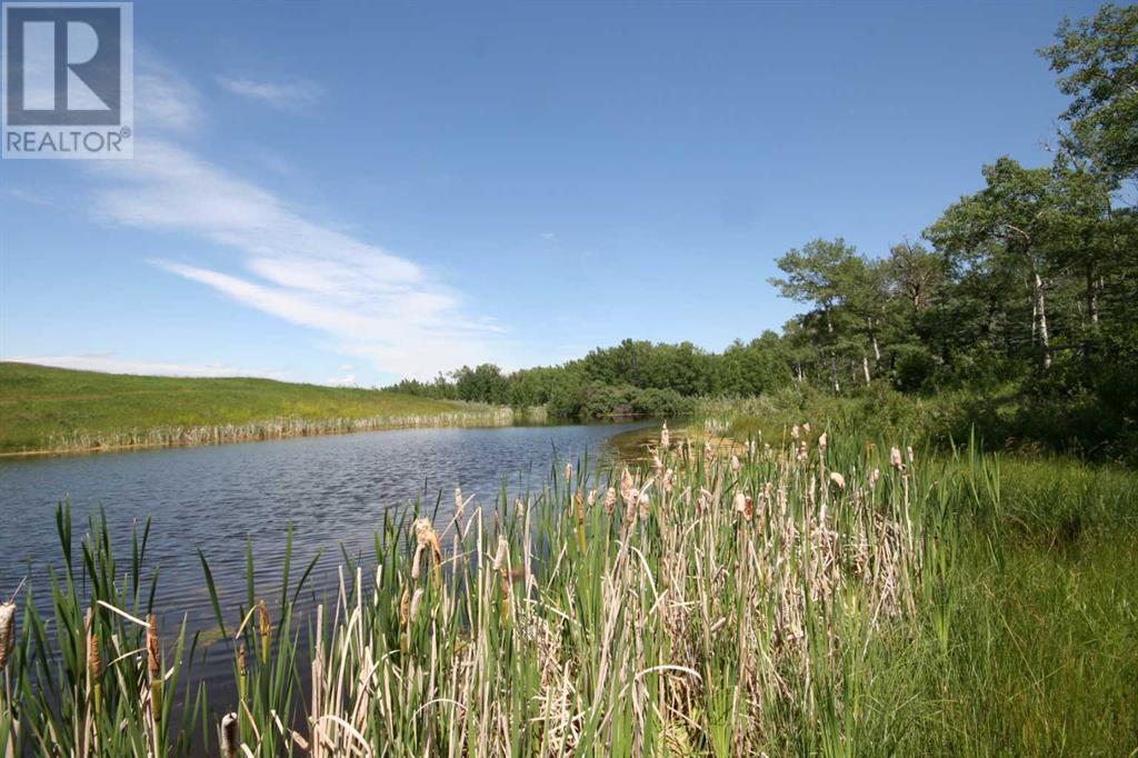 Harmony Ridge Estates, Rural Foothills County, Alberta  t1s 5e8 - Photo 18 - A2236389