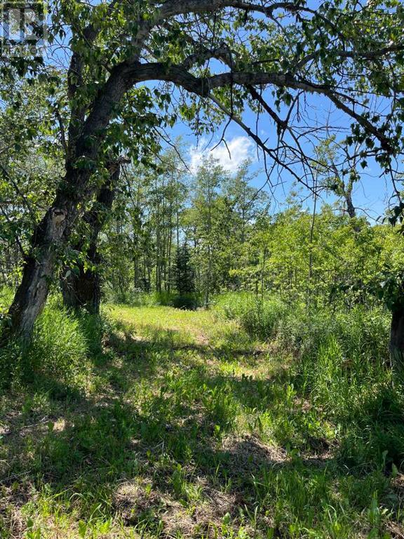 Harmony Ridge Estates, Rural Foothills County, Alberta  t1s 5e8 - Photo 13 - A2236389