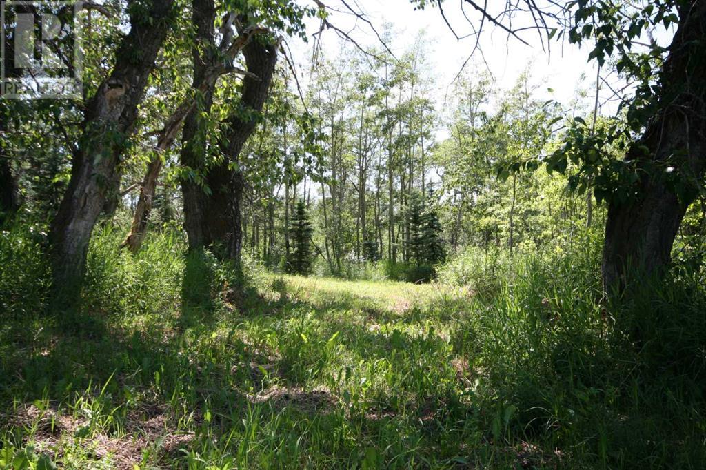 Harmony Ridge Estates, Rural Foothills County, Alberta  t1s 5e8 - Photo 14 - A2236389