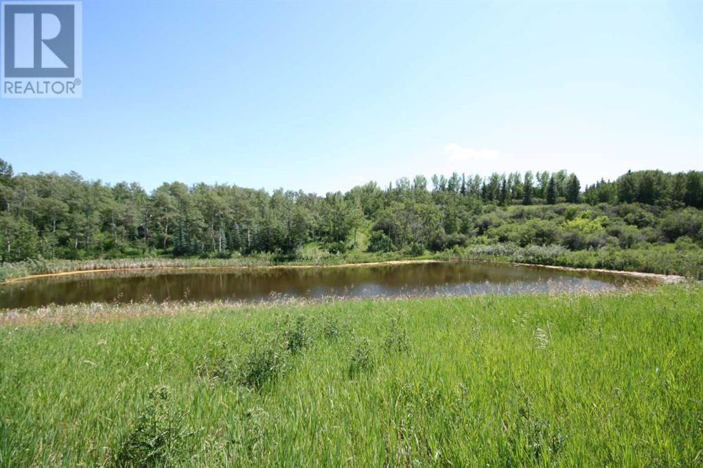 Harmony Ridge Estates, Rural Foothills County, Alberta  t1s 5e8 - Photo 36 - A2236389
