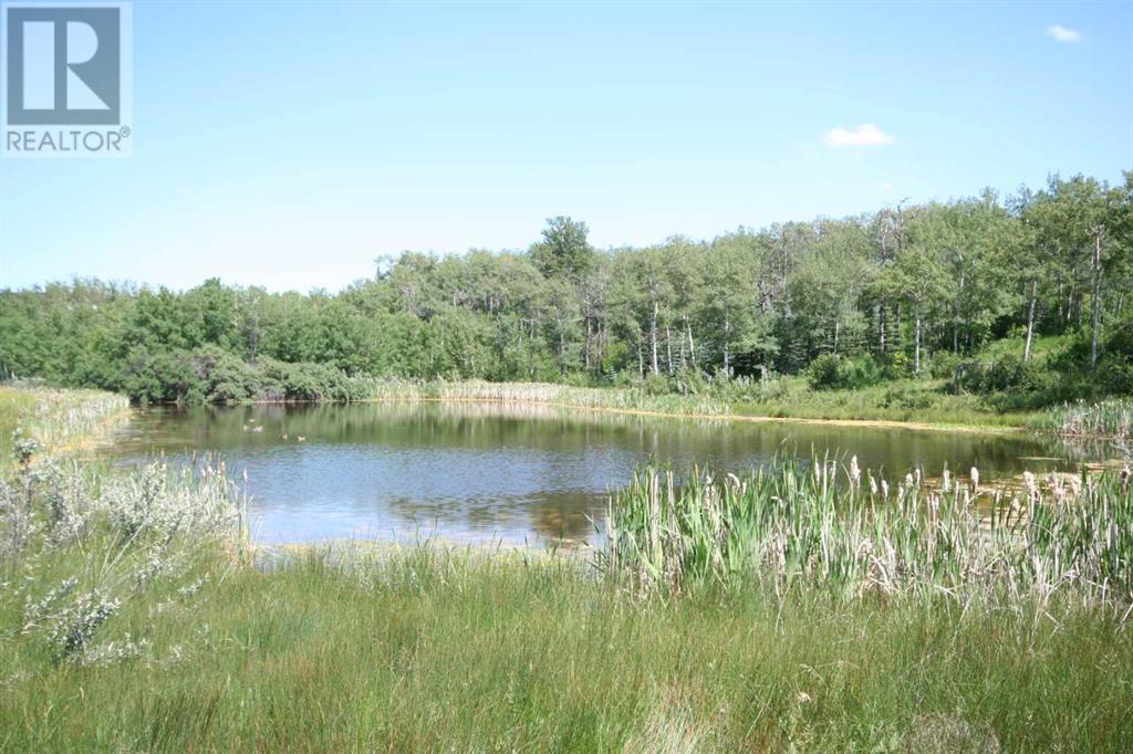 Harmony Ridge Estates, Rural Foothills County, Alberta  t1s 5e8 - Photo 24 - A2236389