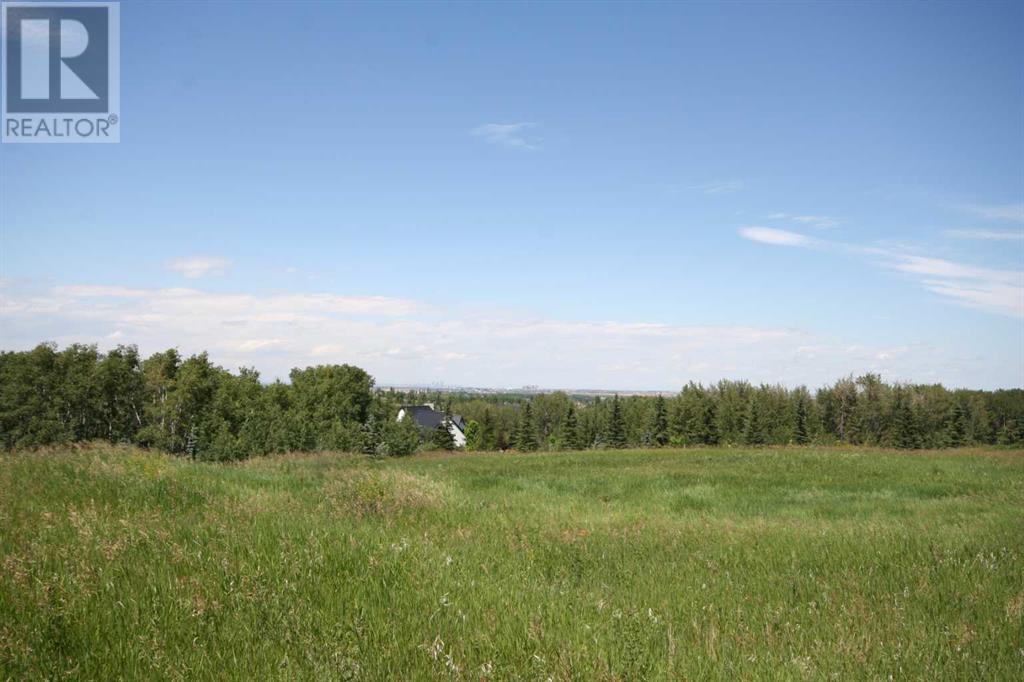 Harmony Ridge Estates, Rural Foothills County, Alberta  t1s 5e8 - Photo 9 - A2236389