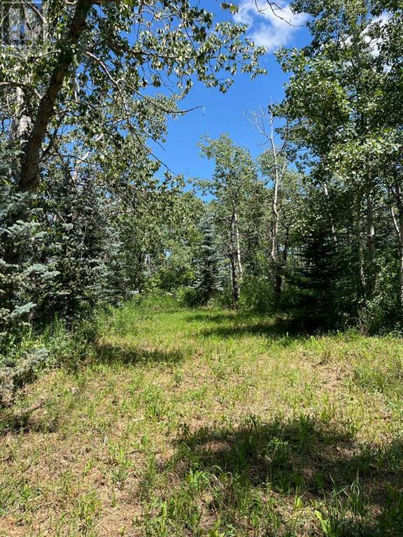 Harmony Ridge Estates, Rural Foothills County, Alberta  t1s 5e8 - Photo 29 - A2236389