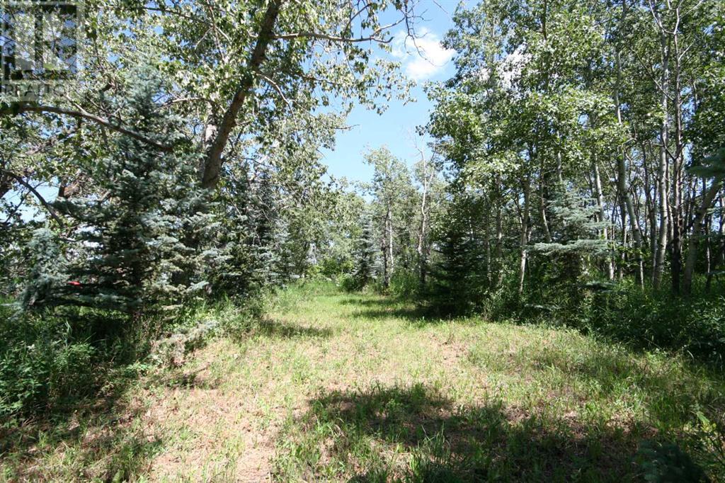 Harmony Ridge Estates, Rural Foothills County, Alberta  t1s 5e8 - Photo 15 - A2236389