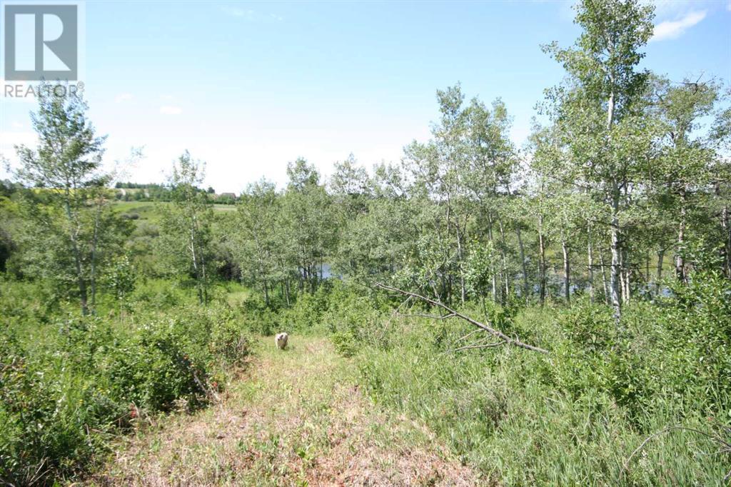 Harmony Ridge Estates, Rural Foothills County, Alberta  t1s 5e8 - Photo 16 - A2236389