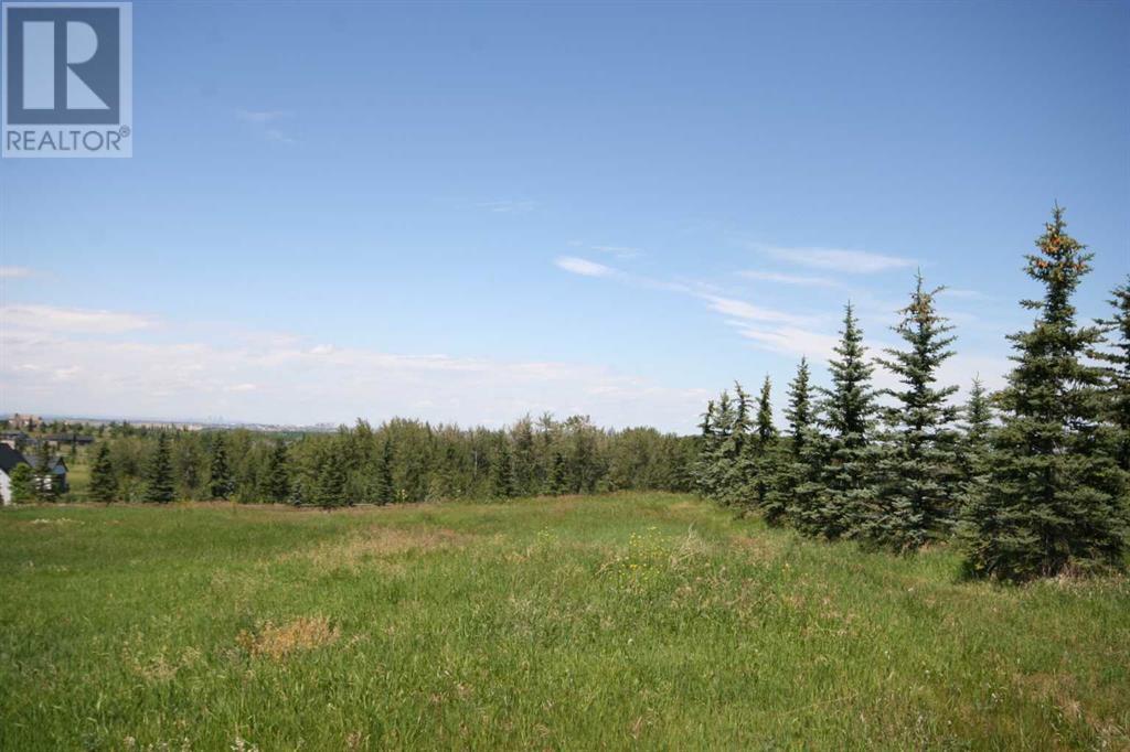 Harmony Ridge Estates, Rural Foothills County, Alberta  t1s 5e8 - Photo 5 - A2236389