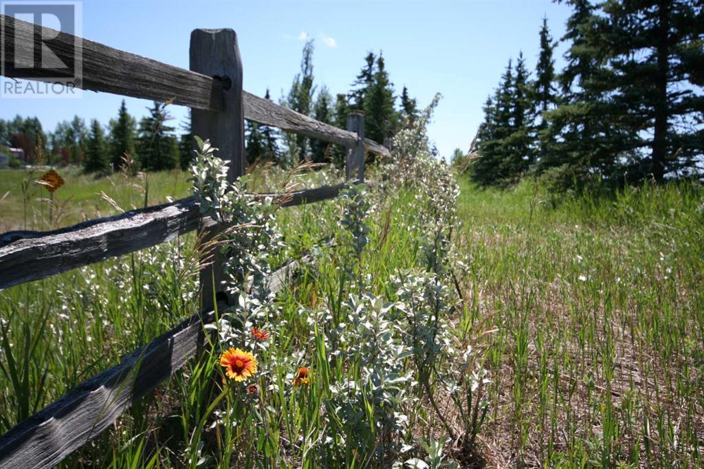 Harmony Ridge Estates, Rural Foothills County, Alberta  t1s 5e8 - Photo 12 - A2236389
