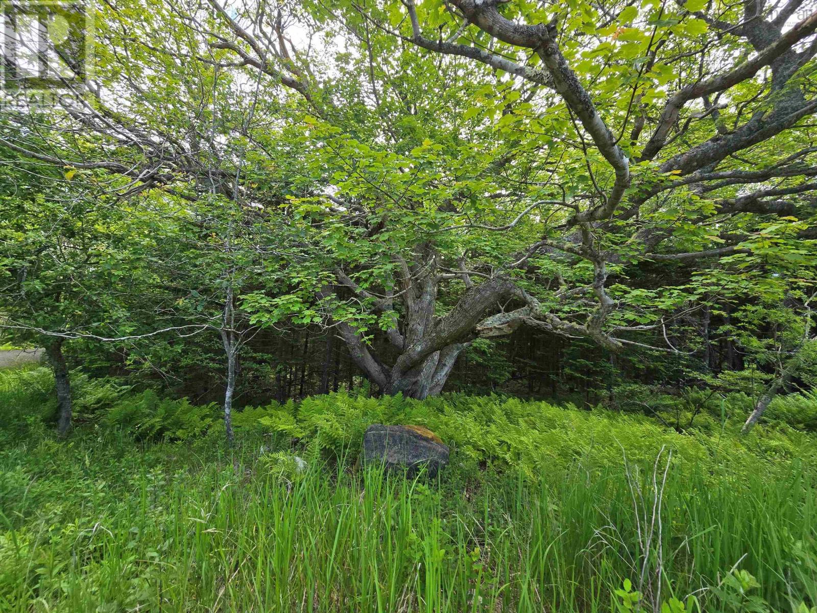 Lot Main Shore Road, North Chegoggin, Nova Scotia  B5A 5H3 - Photo 5 - 202515815