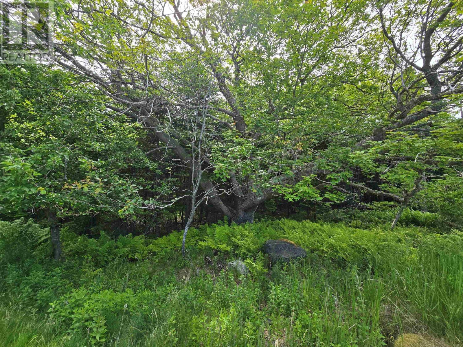 Lot Main Shore Road, North Chegoggin, Nova Scotia  B5A 5H3 - Photo 4 - 202515815