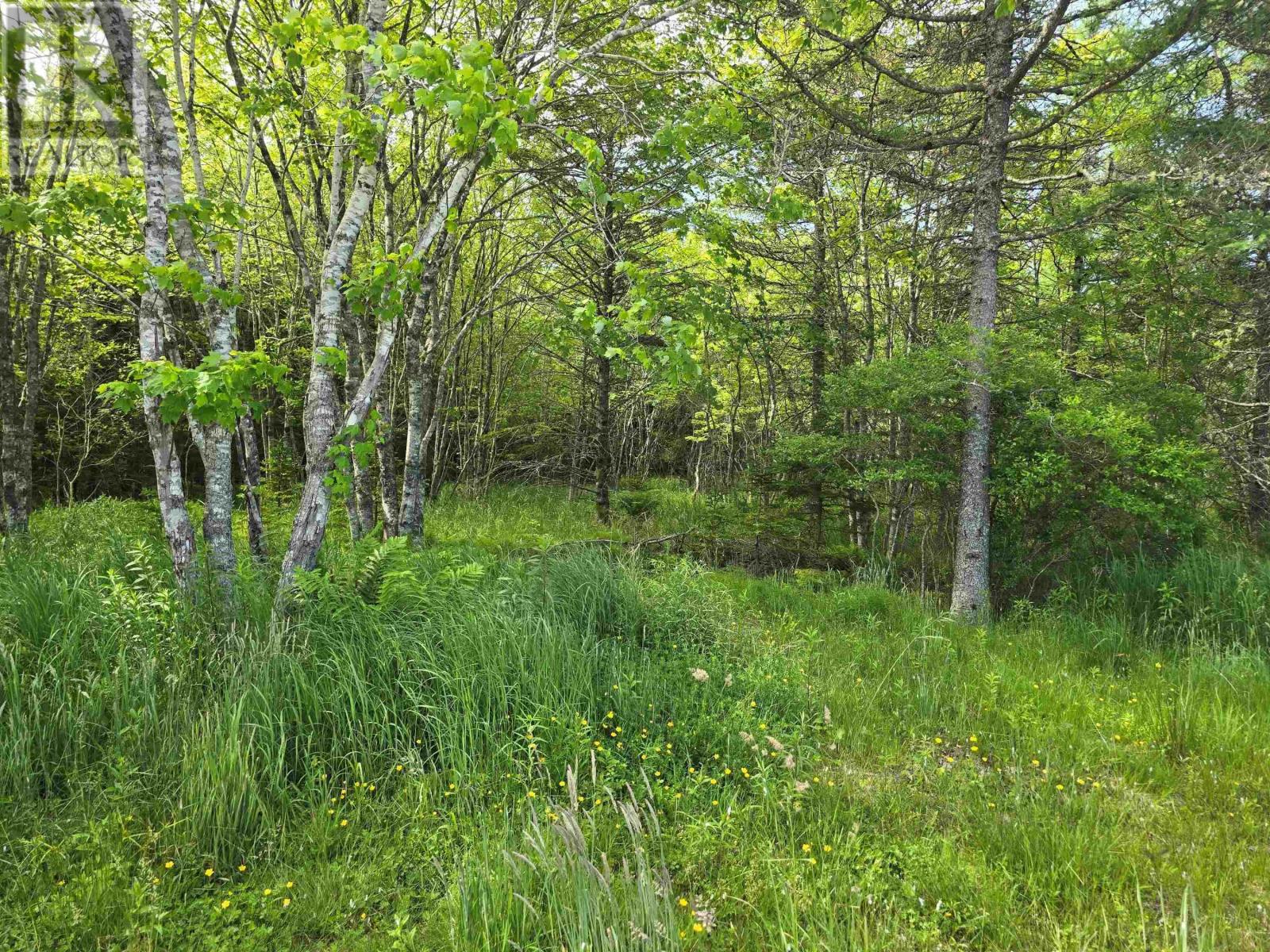 Lot Main Shore Road, North Chegoggin, Nova Scotia  B5A 5H3 - Photo 9 - 202515815