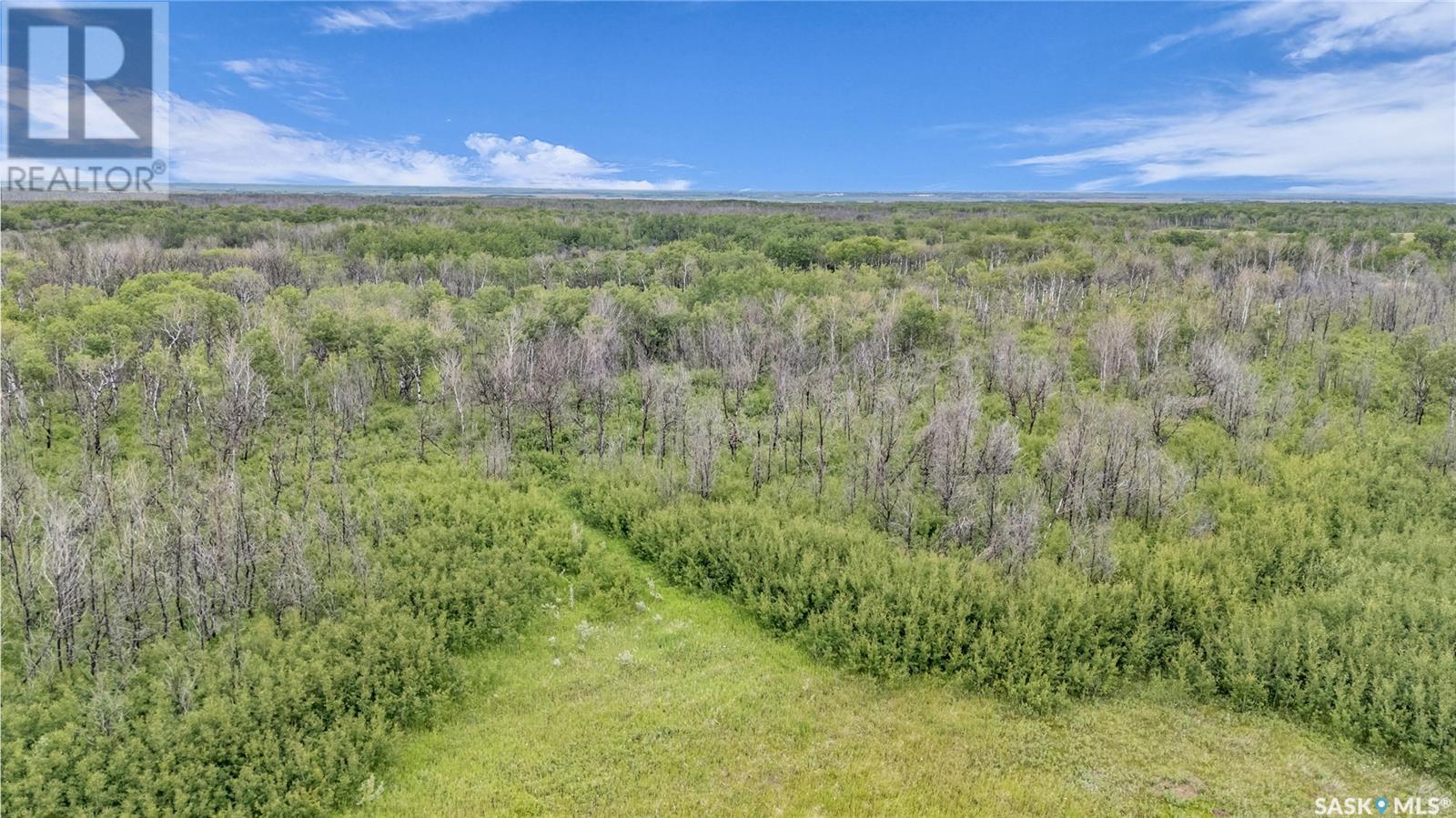 Main Acreage, Biggar Rm No. 347, Saskatchewan  S0K 0M0 - Photo 46 - SK011600