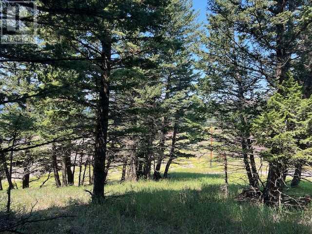 8717 24 Avenue, Coleman, Alberta  T0K 0M0 - Photo 8 - A2237652