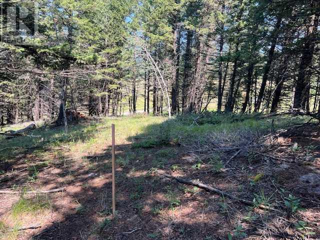 8717 24 Avenue, Coleman, Alberta  T0K 0M0 - Photo 14 - A2237652