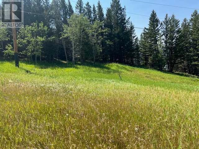 8717 24 Avenue, Coleman, Alberta  T0K 0M0 - Photo 22 - A2237652
