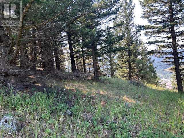 8717 24 Avenue, Coleman, Alberta  T0K 0M0 - Photo 20 - A2237652