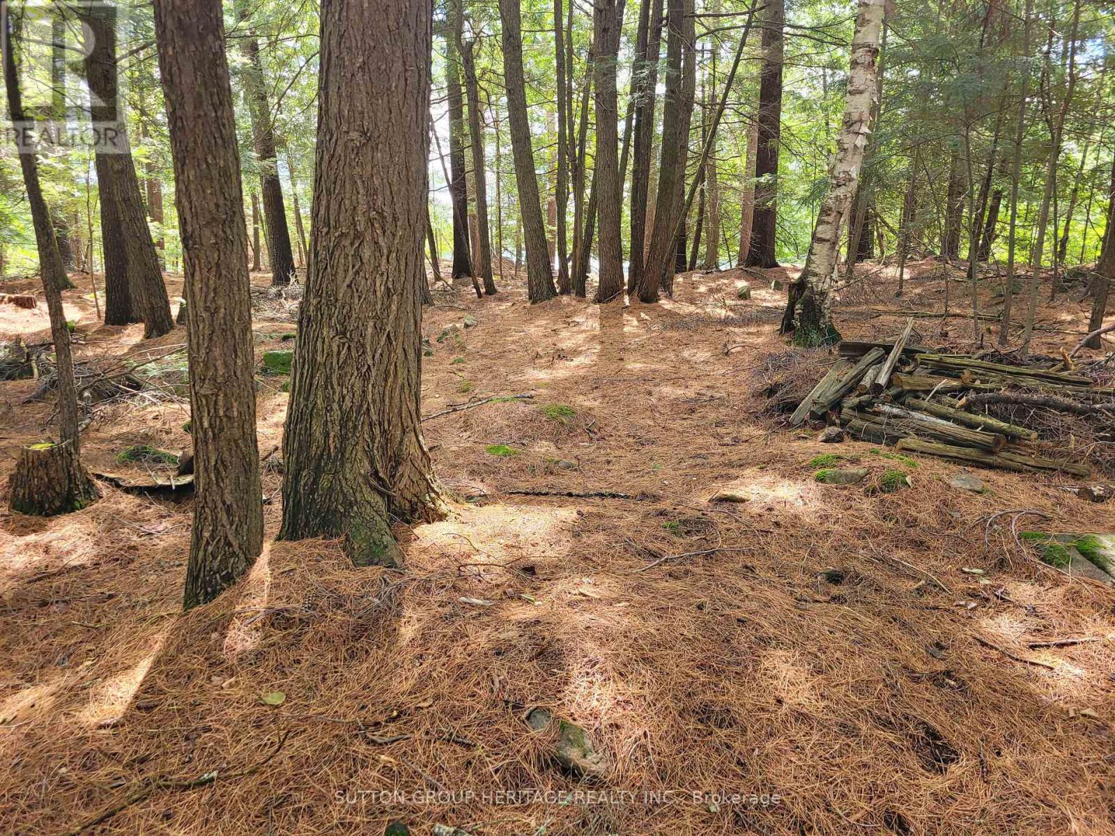 909 Ashby Lake Wa Road, Addington Highlands (Addington Highlands), Ontario  K0H 1L0 - Photo 28 - X12266620
