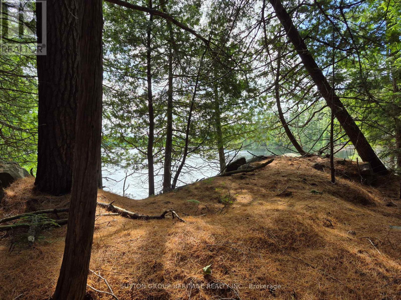 909 Ashby Lake Wa Road, Addington Highlands (Addington Highlands), Ontario  K0H 1L0 - Photo 31 - X12266620