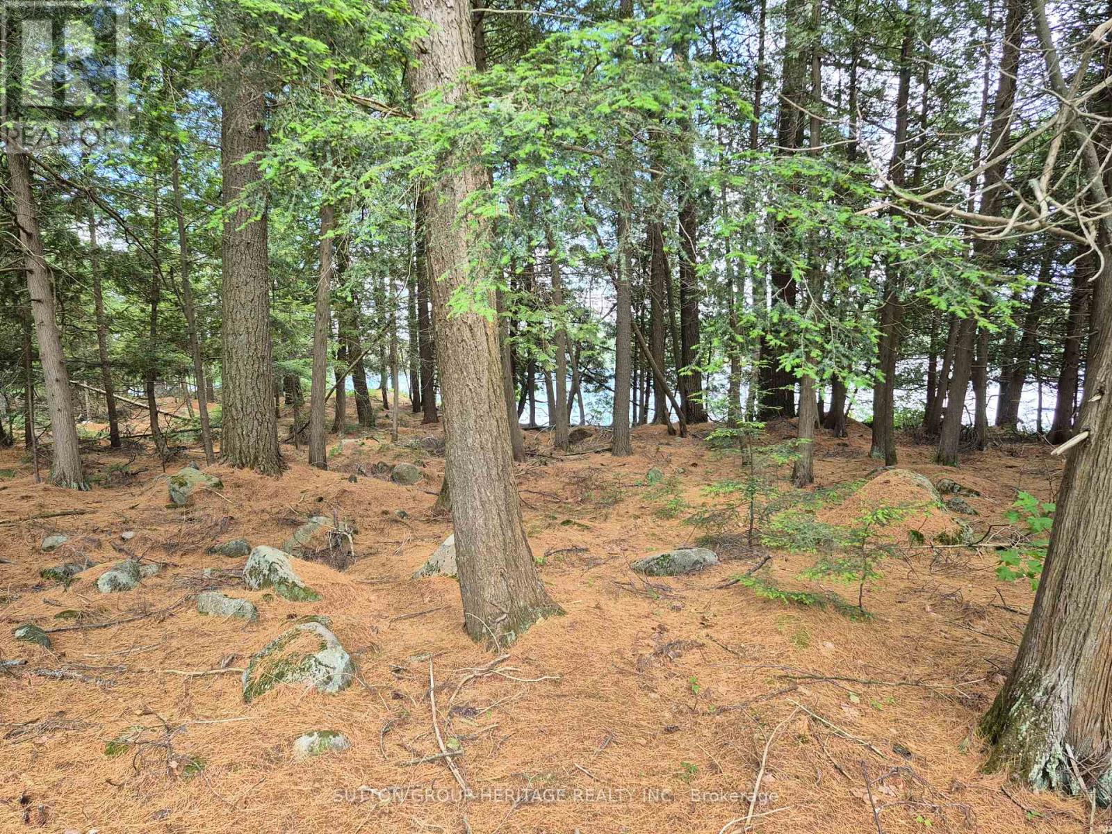 909 Ashby Lake Wa Road, Addington Highlands (Addington Highlands), Ontario  K0H 1L0 - Photo 29 - X12266620