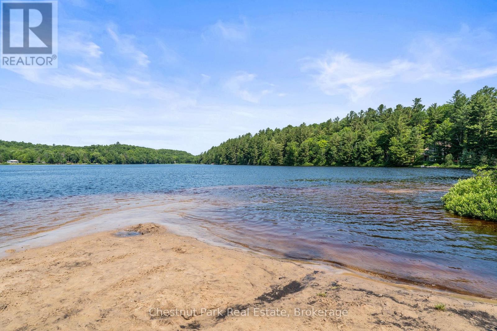 49 Beach Road, Huntsville, Ontario  P0B 1M0 - Photo 48 - X12268002