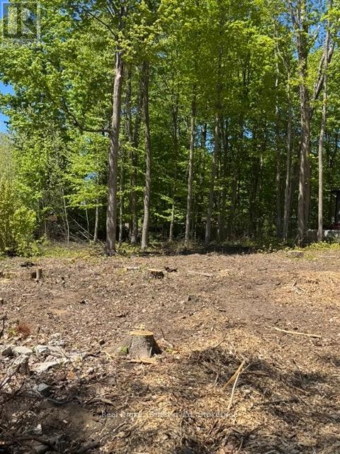 Lot 3 Fairlawn Grove, Tiny, Ontario  L9M 0B9 - Photo 1 - S12268170