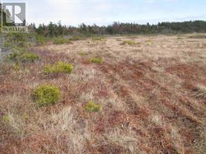 4 Williams Lane, Kippens, Newfoundland & Labrador  A2N 3V1 - Photo 2 - 1287541